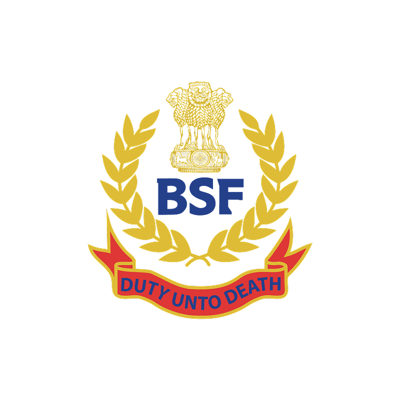 BSF — Voltaire Power Systems client